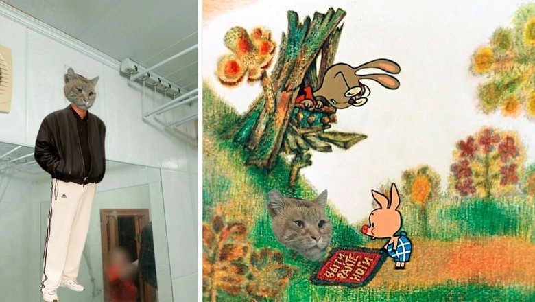 Кот с претензией