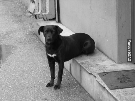 Лентяй прикол