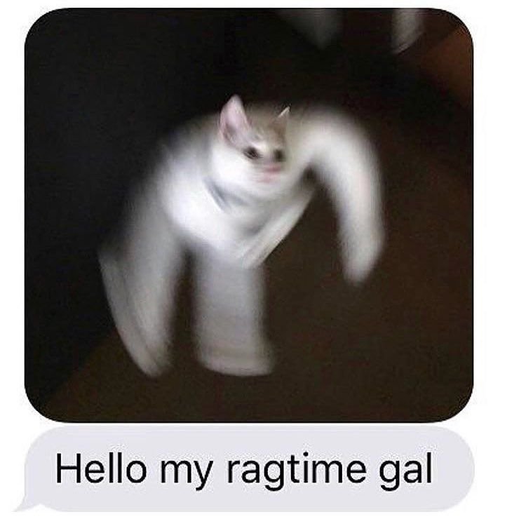 Размазанные смешные коты