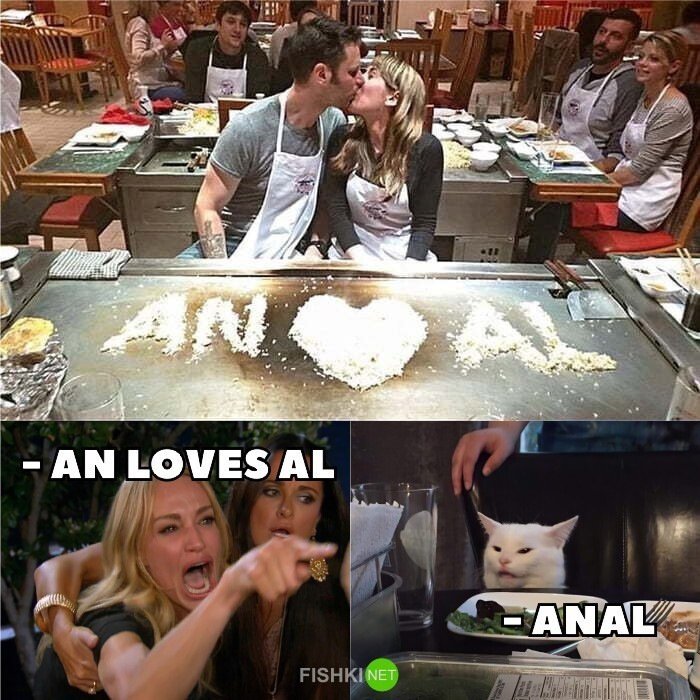 Мемы с котом и девушками