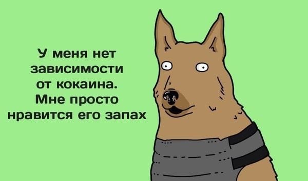 Зависимость Мем