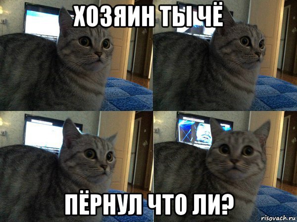 Мем кот ААА