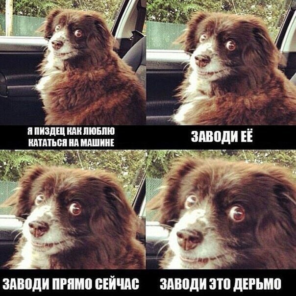 Не могу больше ждать