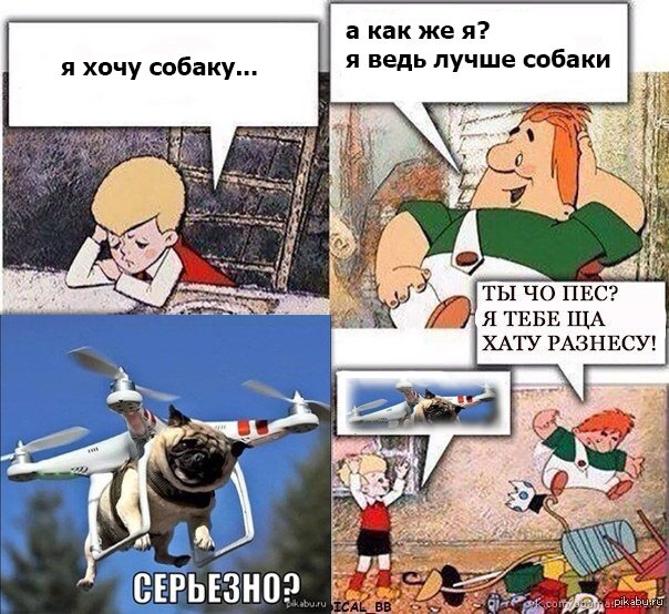 Я лучше собаки
