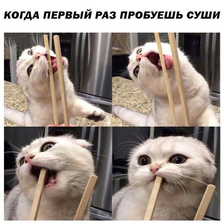 Котики для поднятия настроения