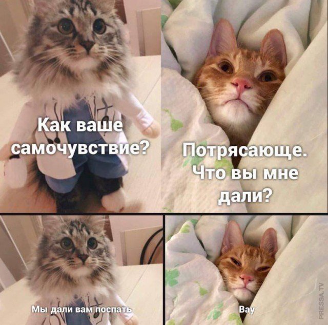 Как твое самочувствие