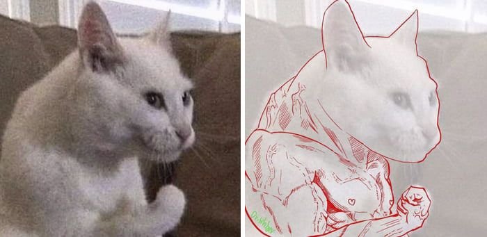 Плачущий котик с лапкой