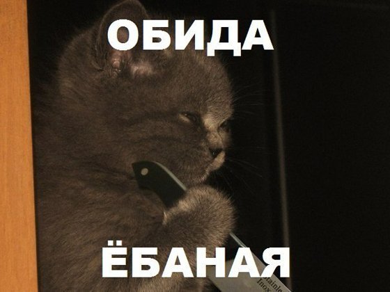 Обиженный кот Мем