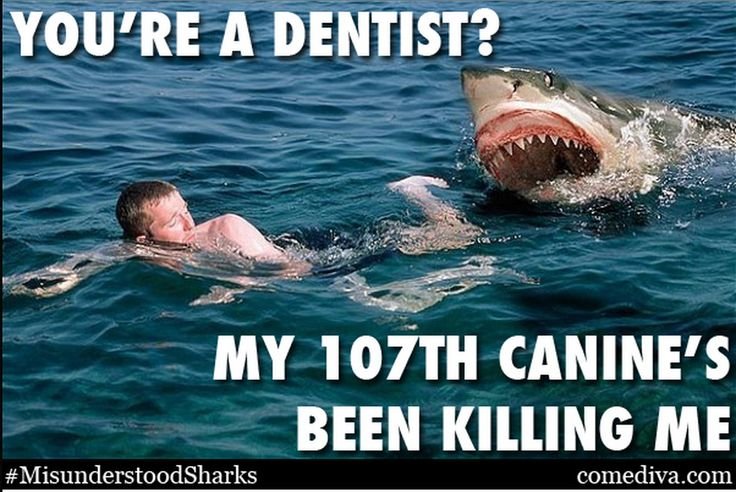 Белая акула Мем