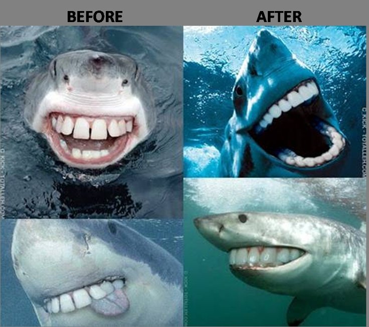 Акула Мем