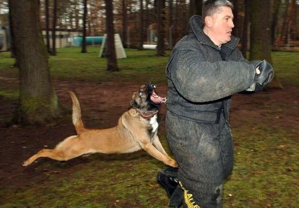 Мужчина с собакой