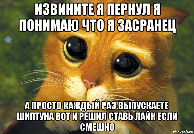 Извини меня если что