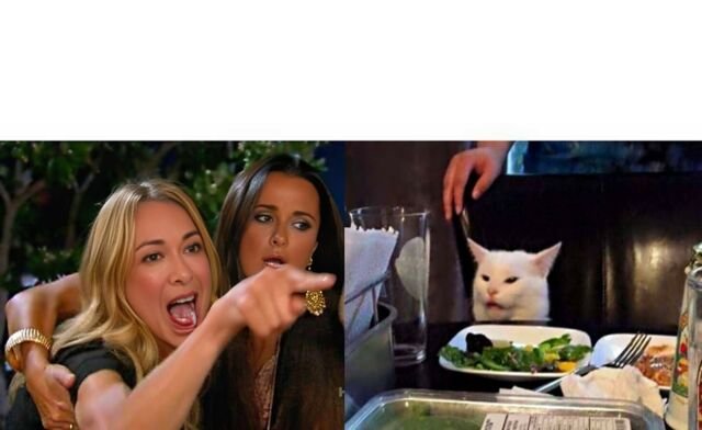 Спор с котом