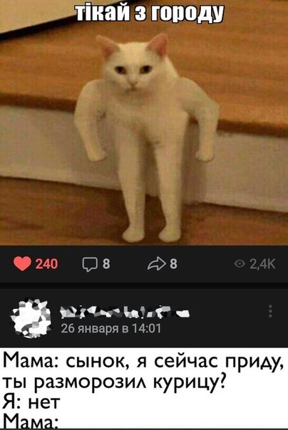 Кот качок Мем