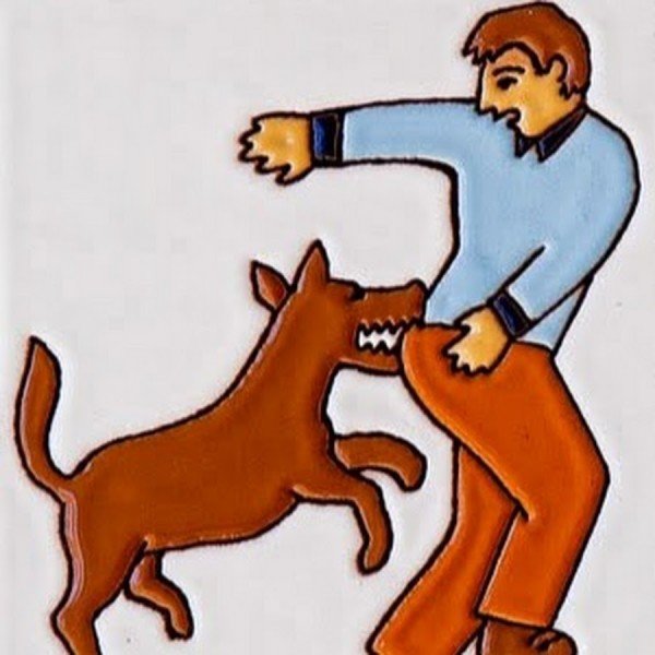 Укусы животных бешенство