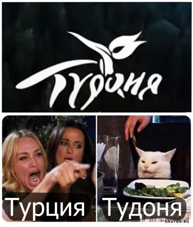 Мем с котов и девушкмаи