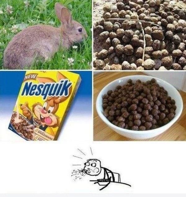 Несквик кроличьи какашки