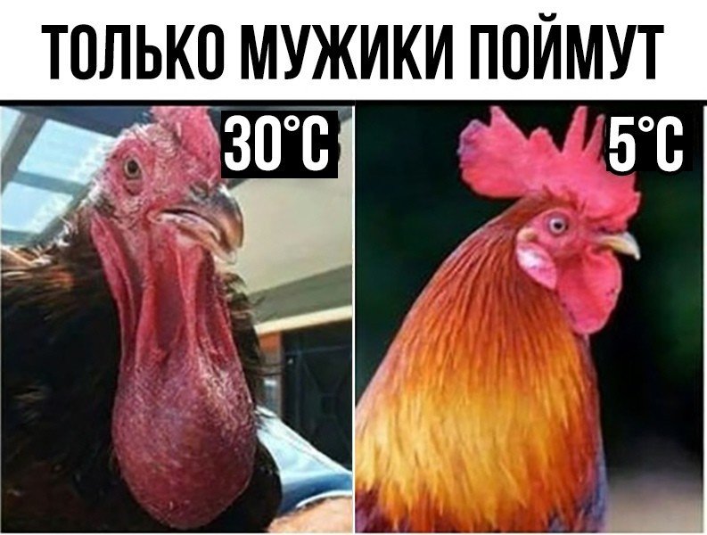 Шутки которые поймут только парни