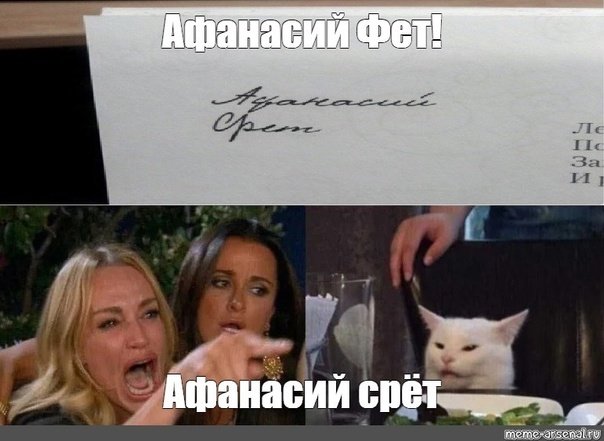 Мем с котом и девушками