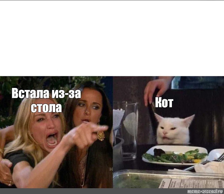Кот из мемов за столом