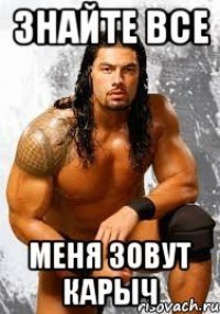 Мемы про романа