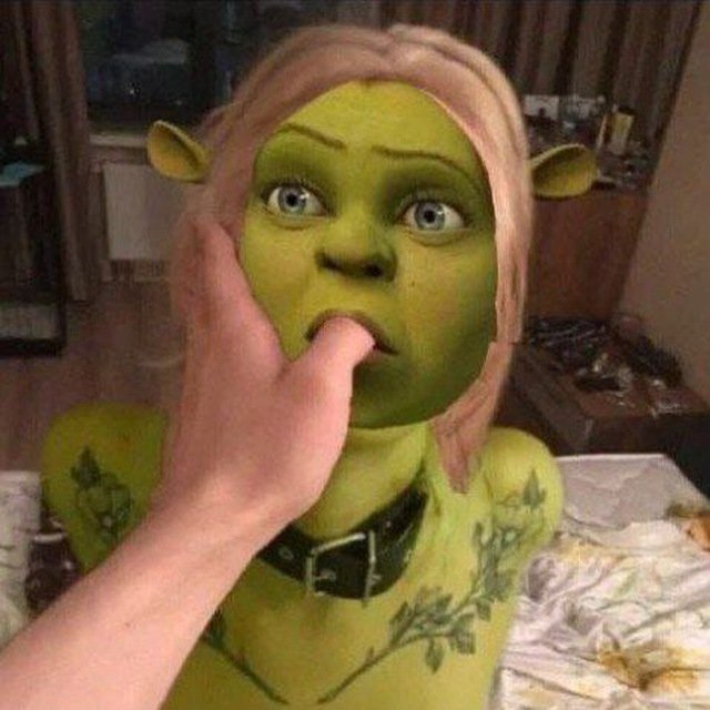 Чимичанги Фиона Шрек