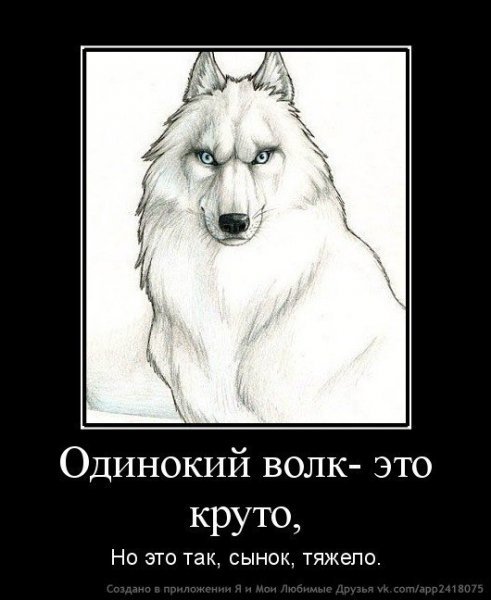 Мемы про одиноких Волков