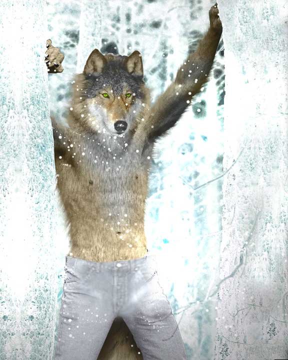 Смешной волк картинки