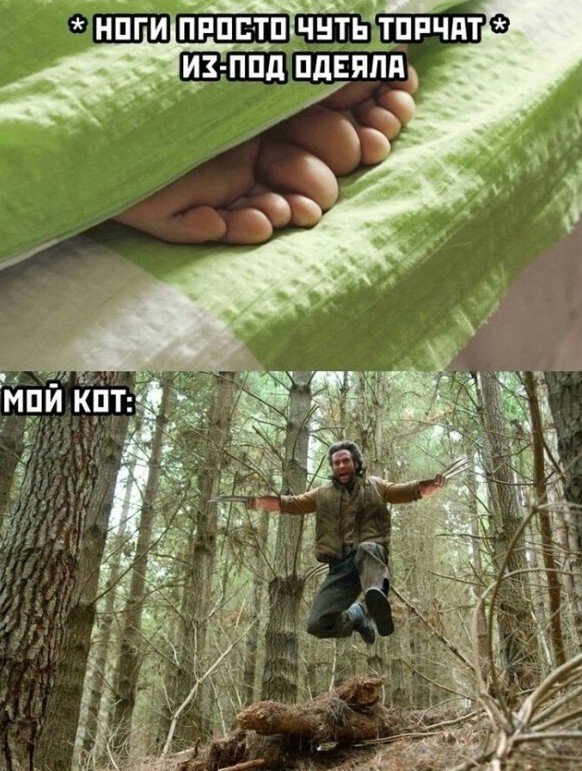 Смешная картинка Мем