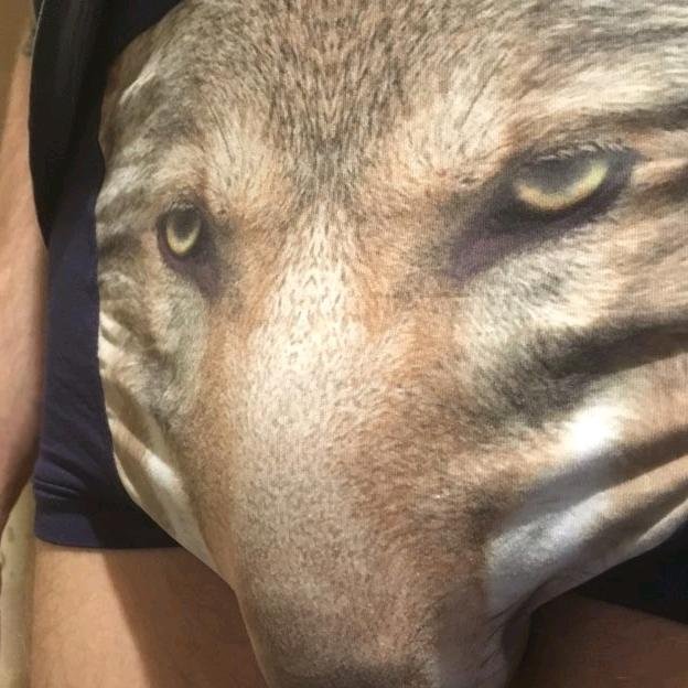 Трусы с носом волка