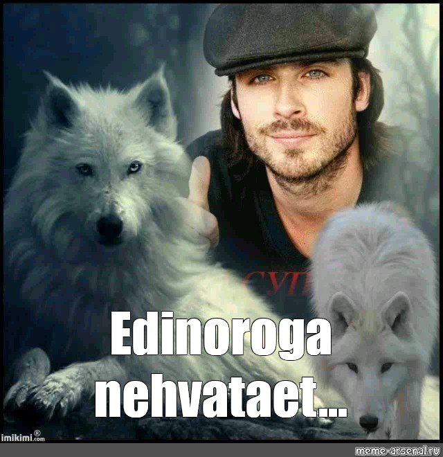 Волк Мем