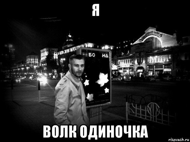 Волк одиночка прикол