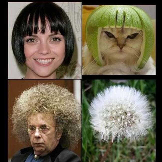 Смешной одуванчик