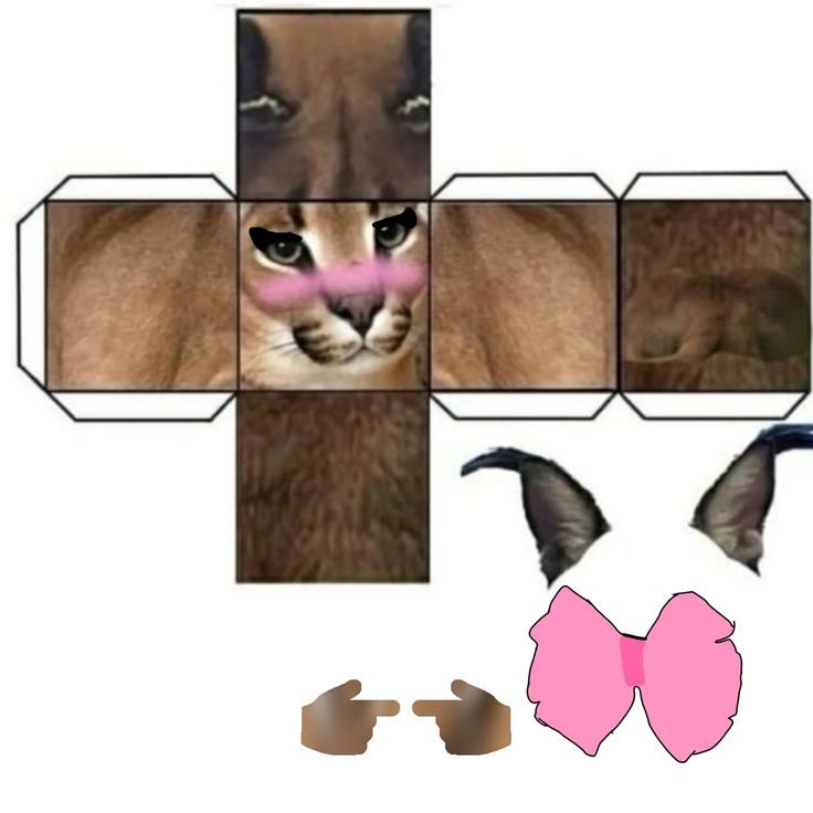 Квадратный бумажный котик