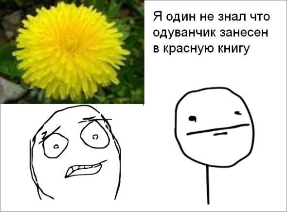 Шутки про одуванчики