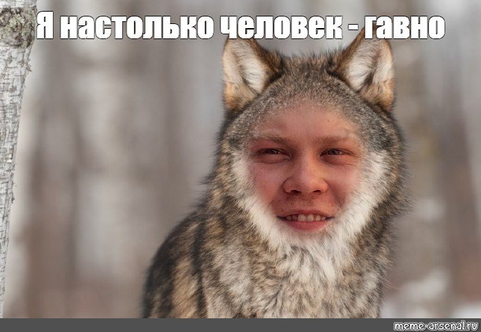 Мужик волк одиночка