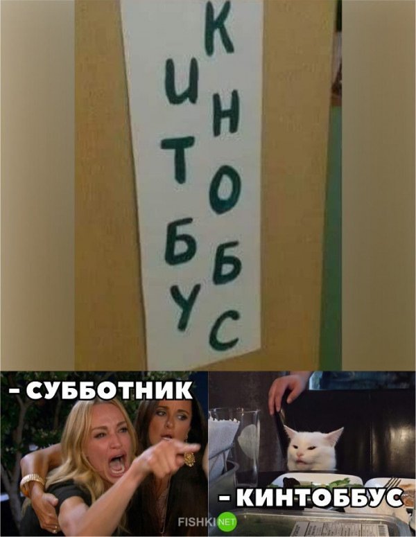 Мем с котами и девушками