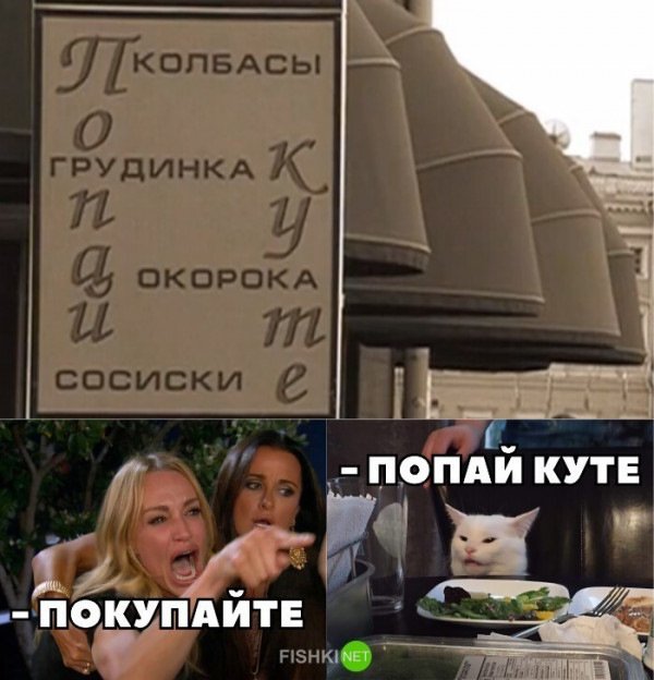 Мем кот читает надписи