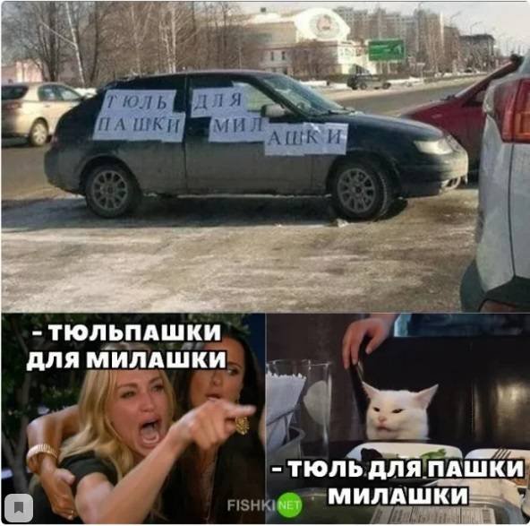 Мемы про котиков и машины