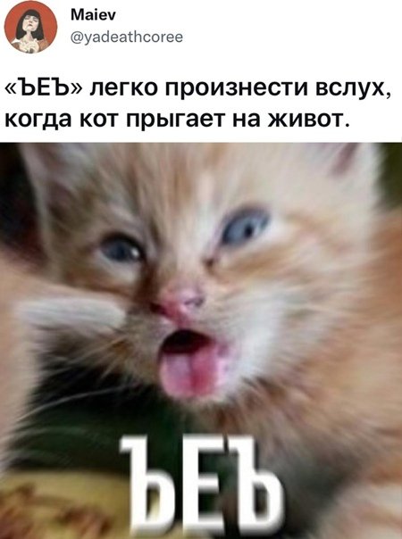 Though кот