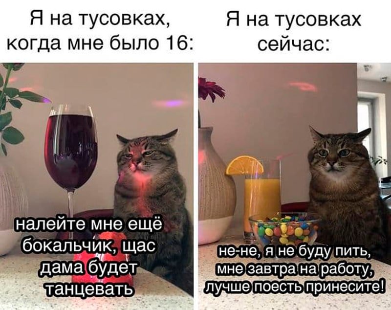 Кот с бокалом Мем