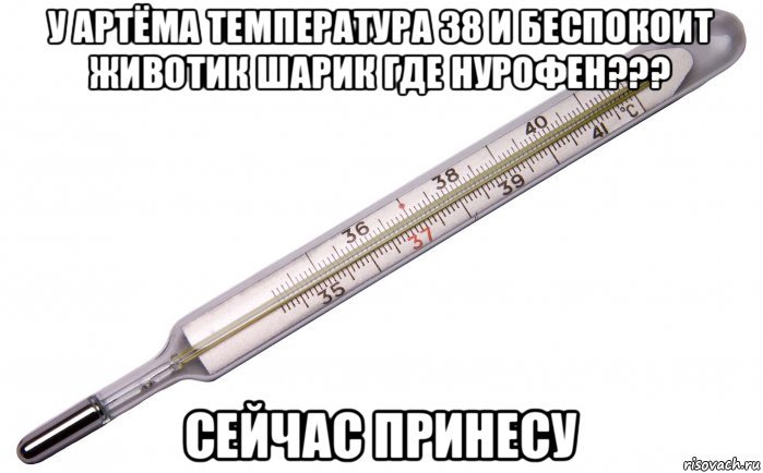 Термометр Мем