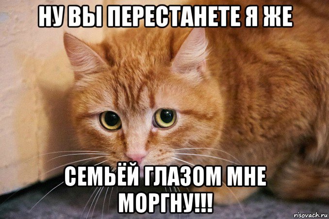 Рыжик кот Мем