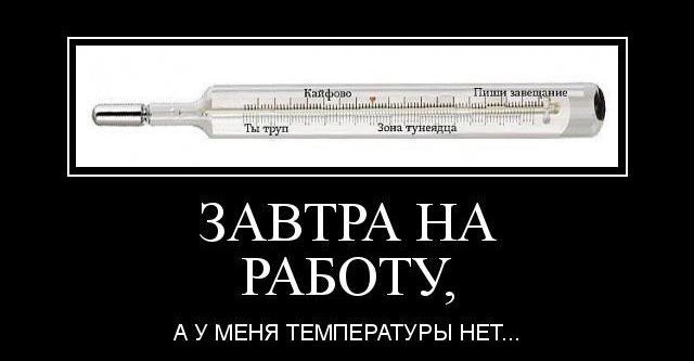 Градусник прикол