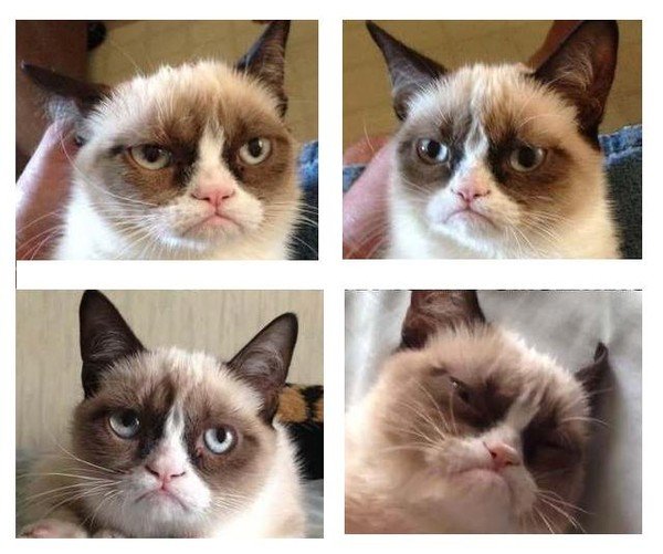 Вечно недовольное лицо