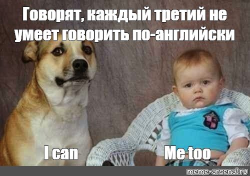 Мем с собакой и ребенком каждый третий шаблон