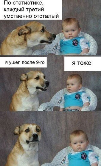 Мем каждый третий с собакой