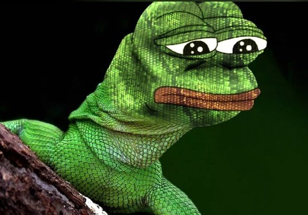 Пепе рептилоид