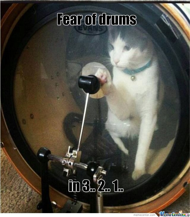 Музыкальные коты