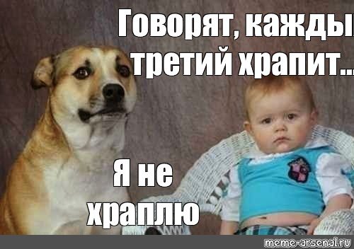 Мем с собакой и ребенком каждый третий